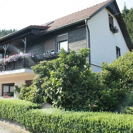 Ferienwohnung An Der Bergbahn Apartmán Oberweißbach